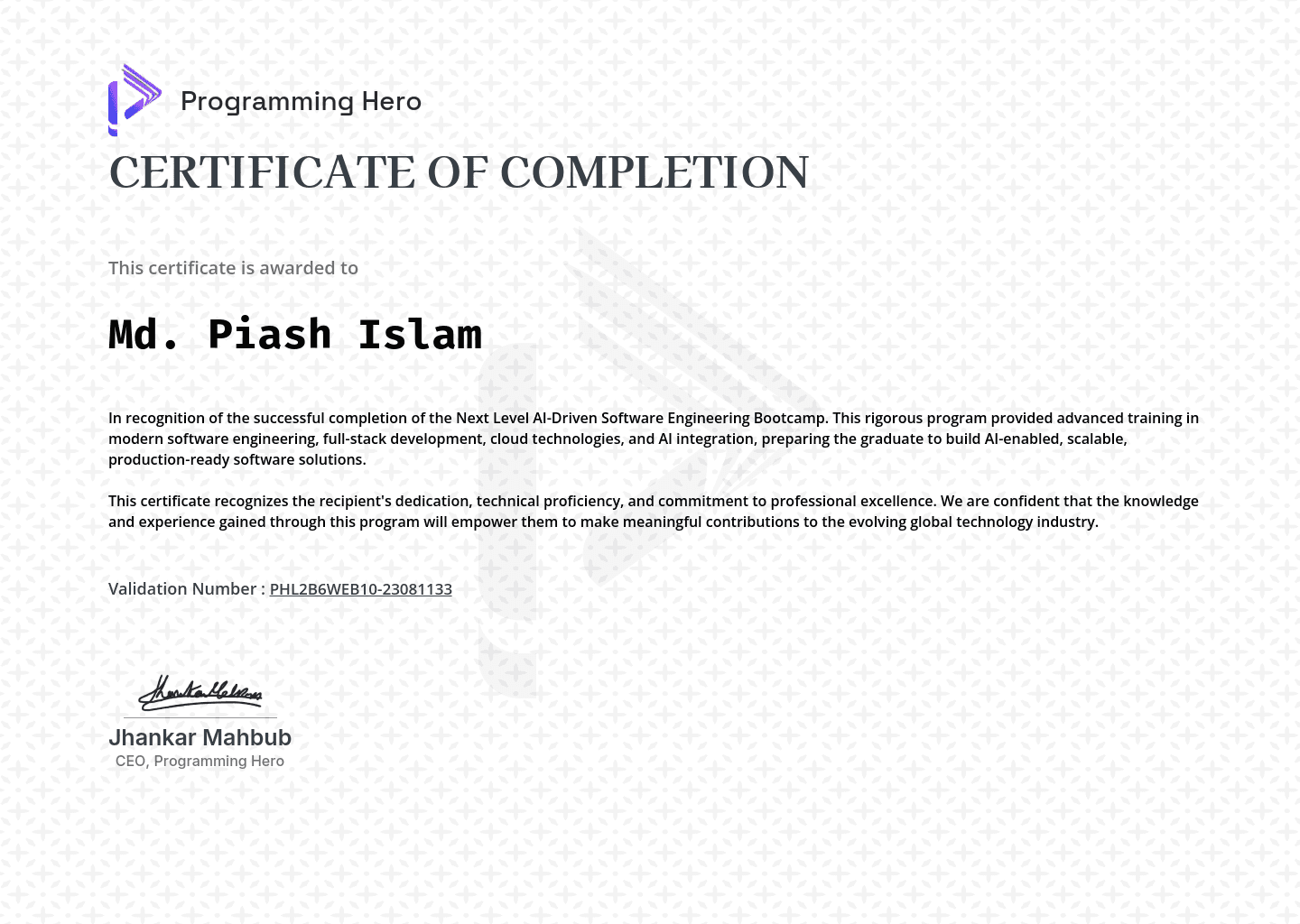 Next Level Web Development